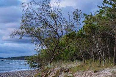 Daniel Driscoll: Unveiling the Strategic Crossroads of His Army Secretary and ATF Leadership