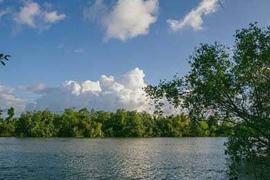 Daniel Driscoll: Unveiling the Strategic Crossroads of His Army Secretary and ATF Leadership