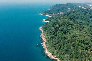 Daniel Driscoll: Unveiling the Strategic Crossroads of His Army Secretary and ATF Leadership