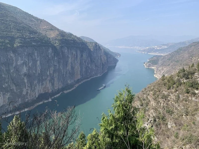 Chongqing's Novel Drug Push: A New Chapter for China's Industry